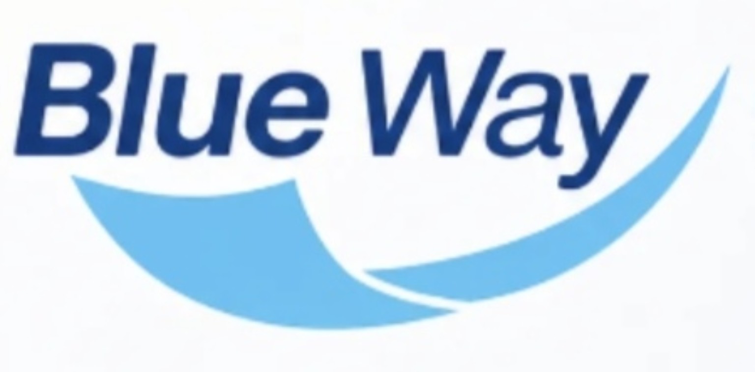 BlueWay Solutions logo